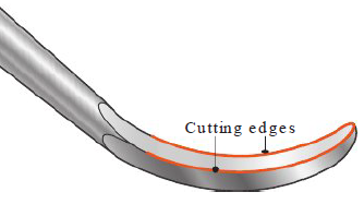 <ul><li><p>Edge where face and lateral surface meets </p></li><li><p>Orange line </p></li></ul><p></p>