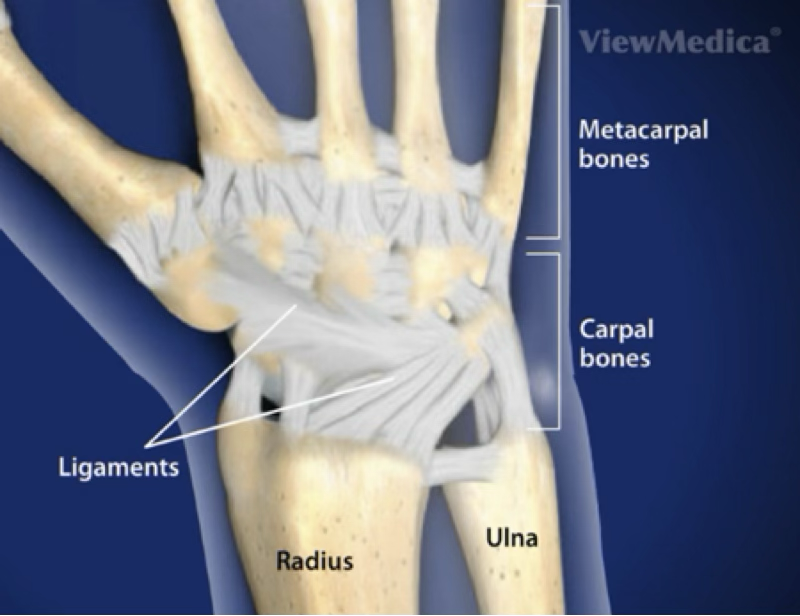<p>wrist sprain symptoms</p>