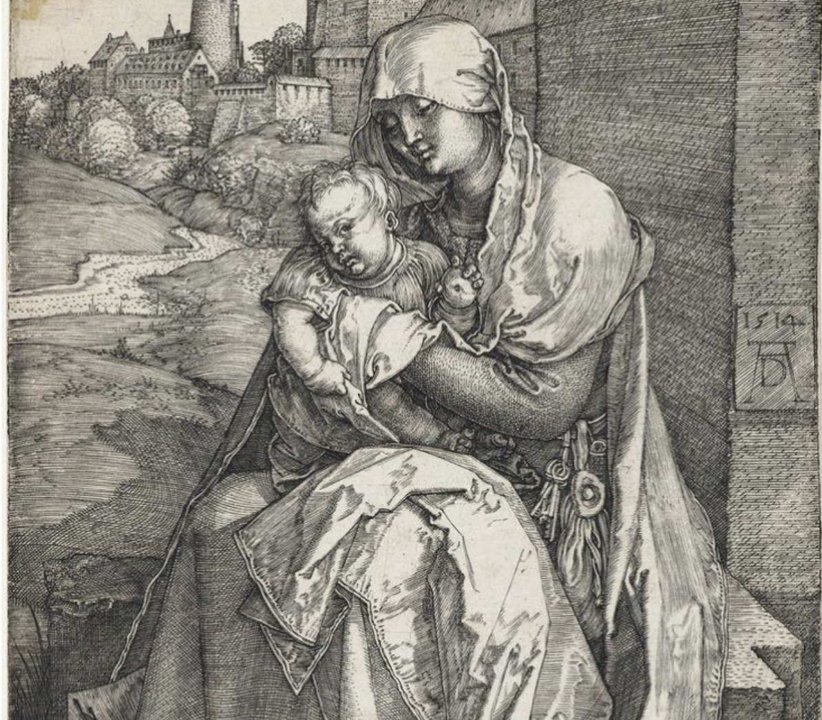 <p><span>finely detailed linework,subtle gradation</span></p>