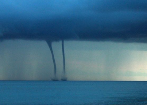 <p>Trombes marines</p>