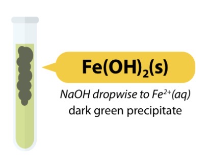 <ul><li><p>Fe2+ (aq) + 2OH- → Fe(OH)2 (s)</p></li><li><p>Pale green solution → Dark green ppt (can darken on standing due to oxidation from Fe2+ to Fe3+)</p></li><li><p>Insoluble in excess NaOH</p></li></ul><p></p>