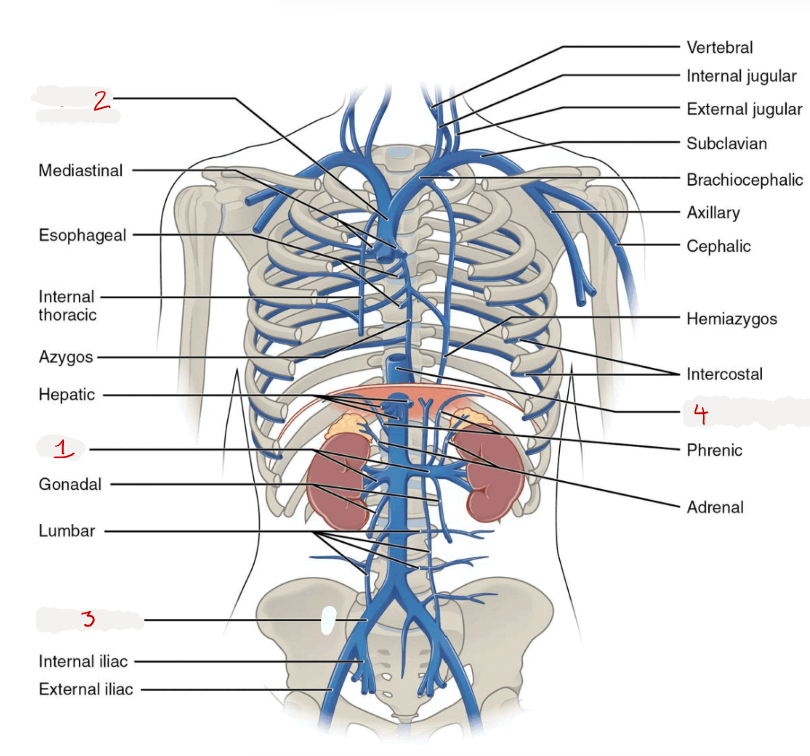 <p>1? </p>