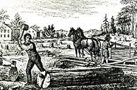 <p>Young people from England under contract with a master who paid for their passage. Worked for a specified period for room and board, then they were free. (p. 28)</p>