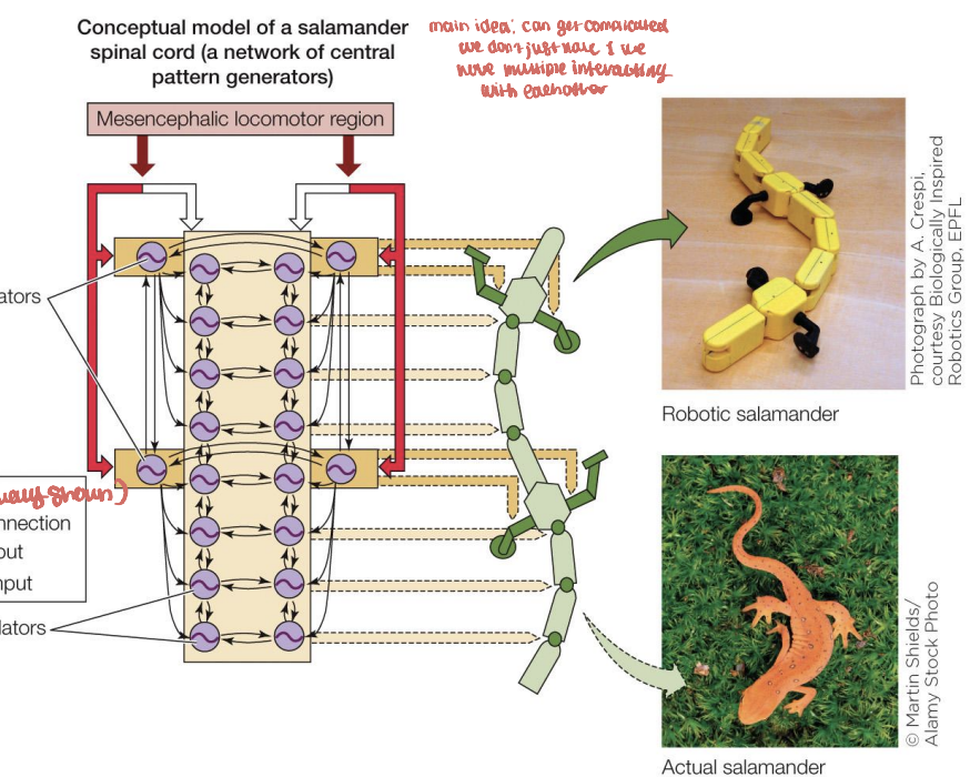 <p>main idea: can get complicated, we don't just have where multiple are interacting with each other</p>