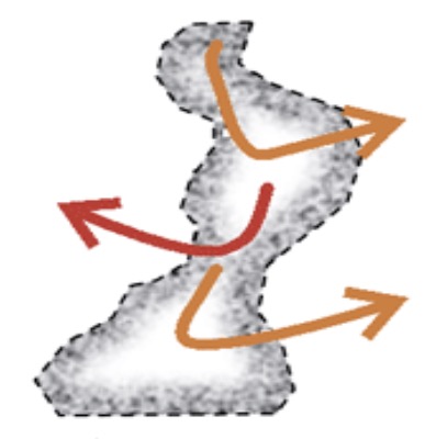 <p>What type of habitat patch is this?</p>