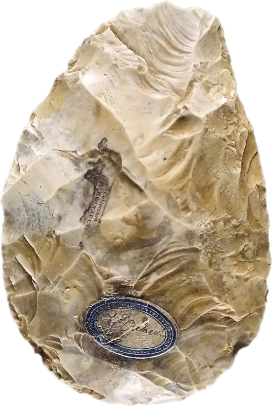 <ul><li><p>More complex and diverse tools </p></li></ul><p>They have flakes on all sides</p><p>An increased number of bows and flakes </p><p>Increase in the number of materials used (bone, bamboo)</p><ul><li><p><u>Hand Axes</u> - have flaking on all edges, bifacial, teardrop shaped</p></li><li><p>Used butchering and removing animal hides</p></li></ul><p></p>