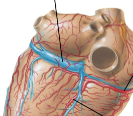 <p>Top right</p>