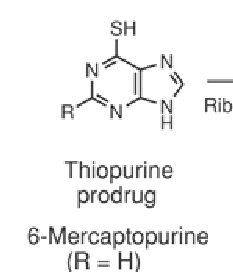 <p>what structure is this?</p>