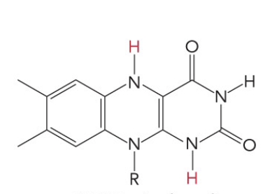 <p>What is the name of this molecule</p>