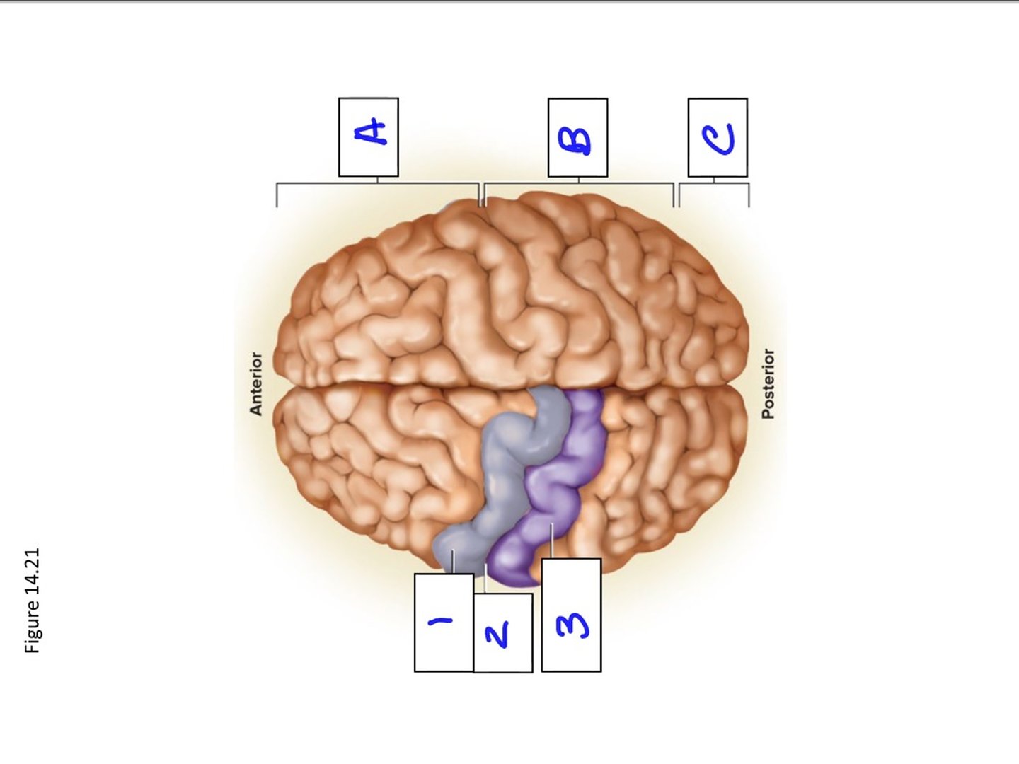 <p>3</p>