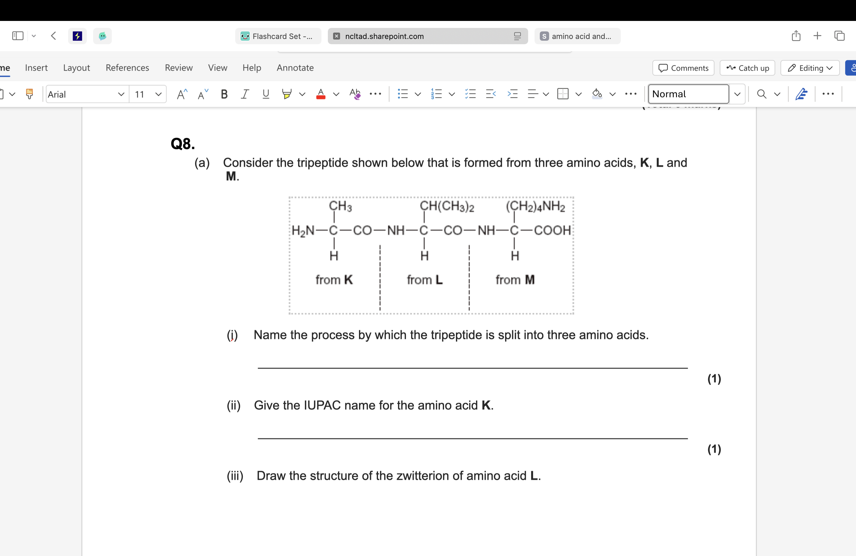 <p><span style="line-height: 16px;">Draw the structure of the species formed by amino acid <strong>M </strong>at low </span><span style="background-color: var(--clrSpellingErrorHighlightBg,#ffe5e5); line-height: 16px; color: var(--clrSquiggleHighlightTextColor,#000000);">pH.</span></p>