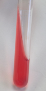 <p>que prueba es </p>