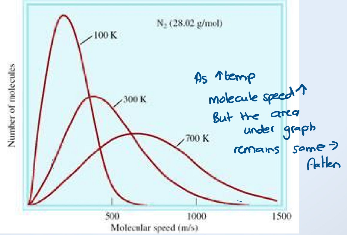 <ul><li><p>increased temperature → increase the average speed of molecules (T ∝ average KE)</p></li><li><p>bell curve because not all molecules are traveling at the same speed</p></li><li><p>note: the number of molecules (n) stays the same</p></li></ul><p></p>