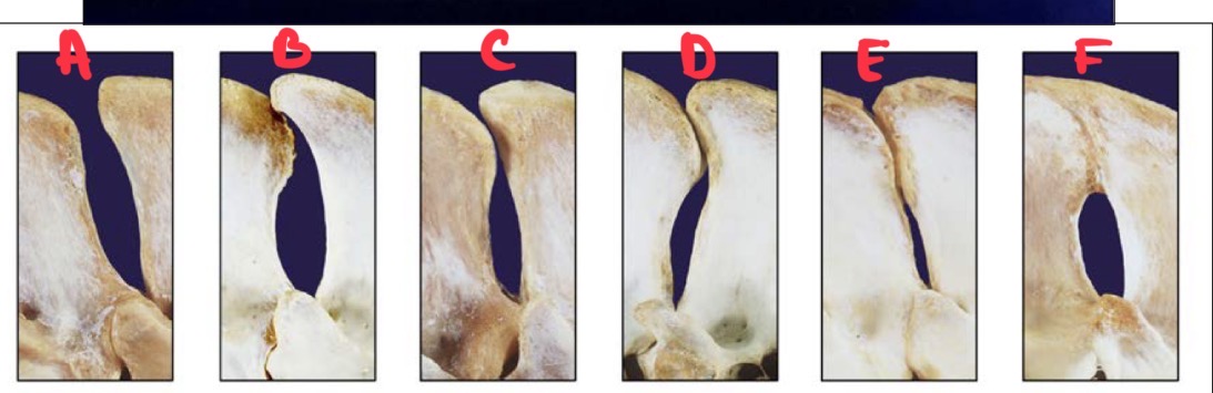 <p>What is C</p>