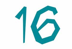 <p>16</p>