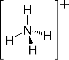 <p>ammonium pKa</p>