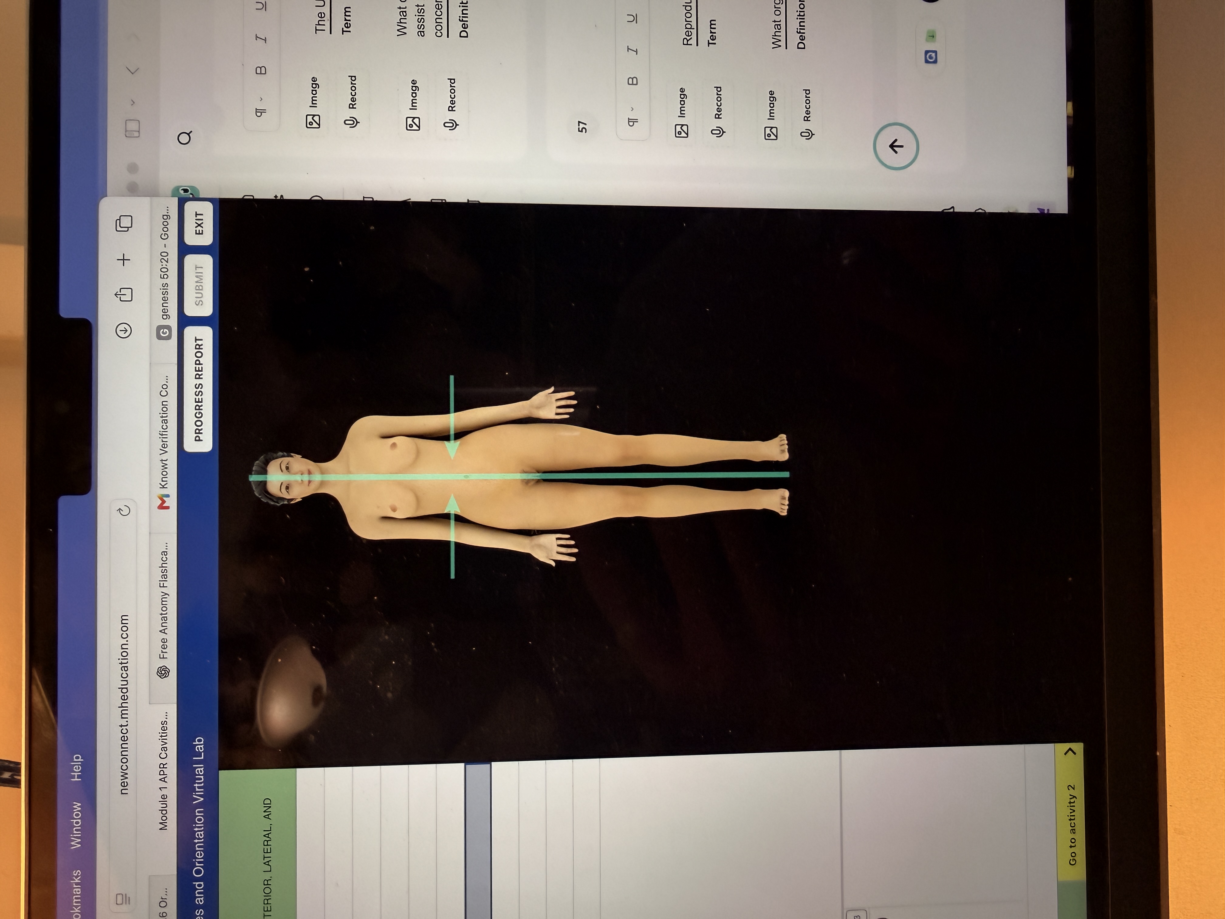 <p>What body orientation is this?</p>