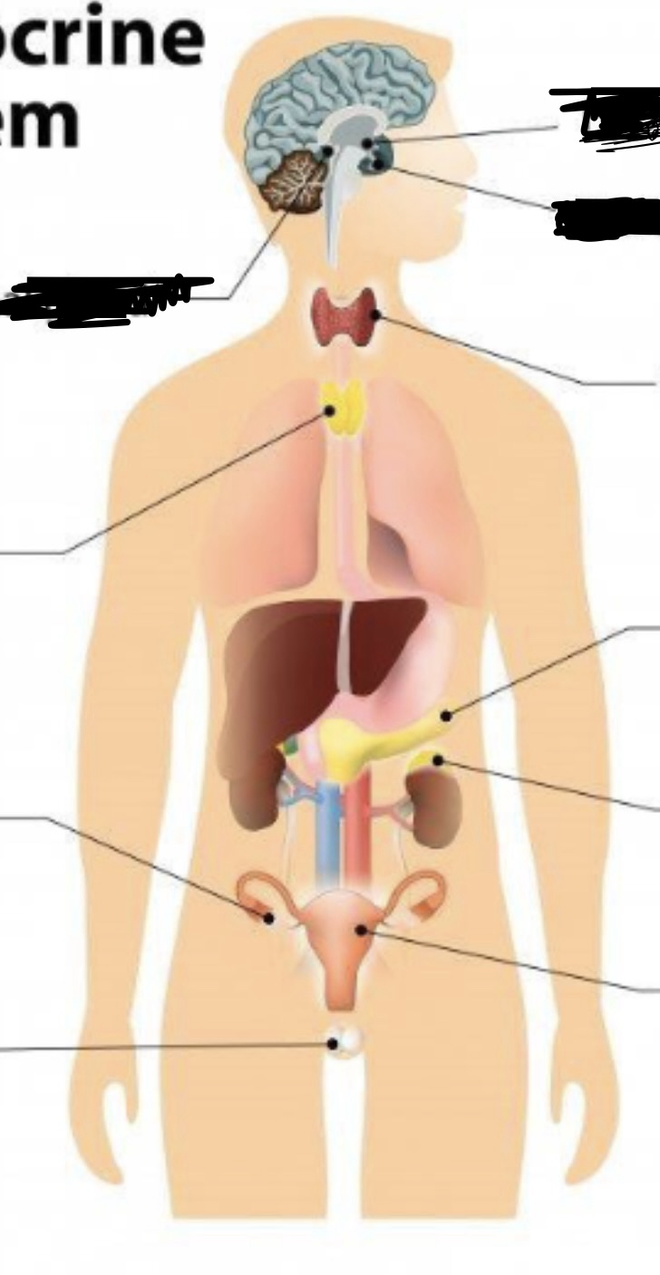 <p>label the areas </p>