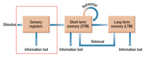 <p><span>• A temporary, sensory-based representation of input received through sensory channels.</span></p><p><span>• Only some of the information stored in sensory memory will be retained.</span></p><p><span>• <strong><em>Iconic </em></strong>(visual) and <strong><em>Echoic </em></strong>(auditory)memory.</span></p><ul><li><p><span>Brief <strong><em>duration </em></strong>(decays quickly)\</span></p></li><li><p><span>Large <strong><em>capacity </em></strong>(relative to STM).</span></p><p><span>• So, what’s the evidence for this.....?</span></p></li></ul><p></p>