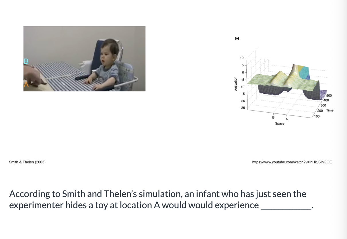 <ol><li><p>higher levels of activation at location B </p></li><li><p>similar levels of activation at both locations</p></li><li><p>higher levels of activation at location A</p></li></ol><p></p>