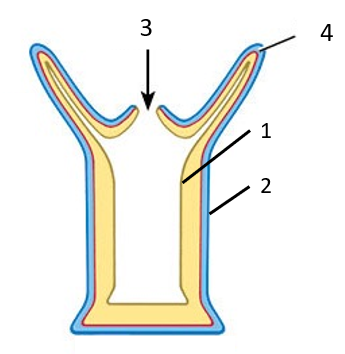 <p>What is 3?</p>