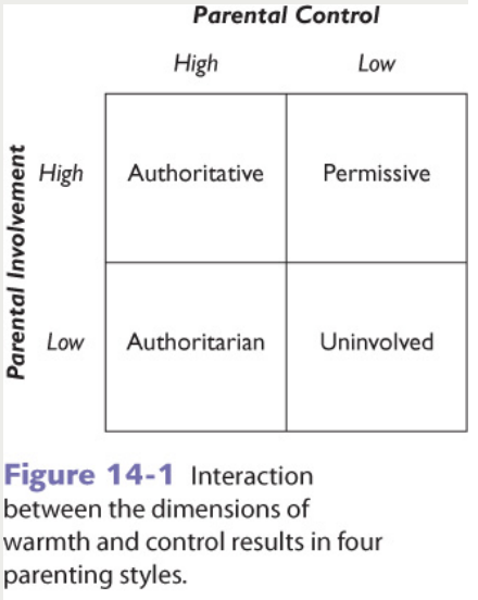 <ul><li><p>High control, high warmth </p></li><li><p>Explain rules with discussion</p></li></ul><p></p><ul><li><p>Responsible, self-reliant, friendly, higher academic performance</p></li></ul><p></p>
