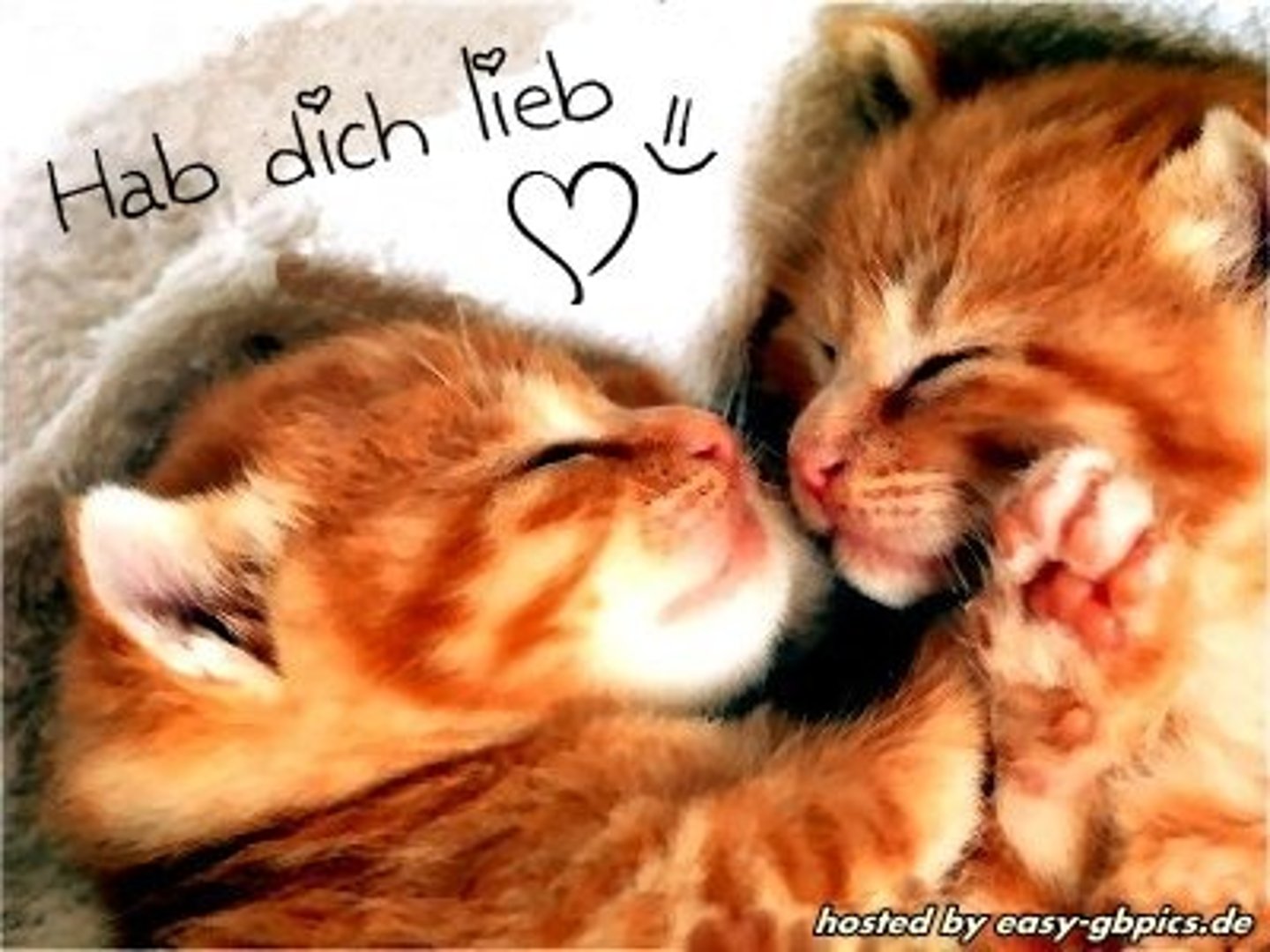 <p>kind, nice</p>