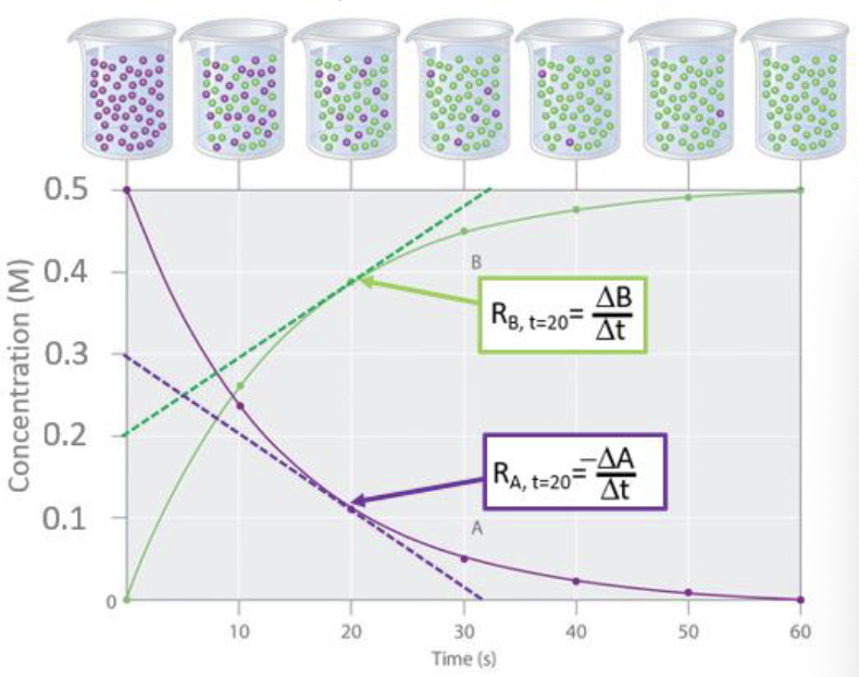 <p>the change in concentration of a reactant or product over time.</p><p>Reactants will have a negative reaction rate, as they are consumed</p><p>Products will have a positive reaction rate, as they are produced.</p>