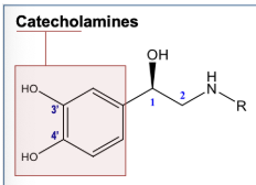 <ul><li><p>NE (R=H) and Epi (R=CH3)</p></li><li><p>nonselective</p></li></ul><p></p>