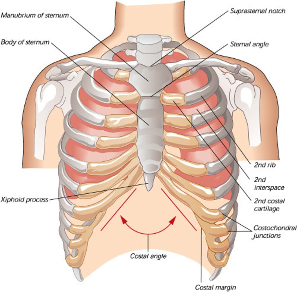 <p>what is this called</p>