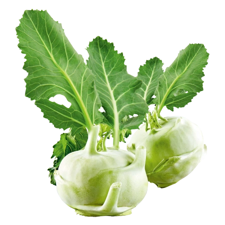 <p>Kohlrabi</p>
