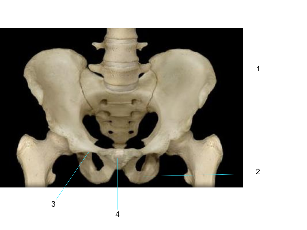 <p>what is #1 pointing at?</p>