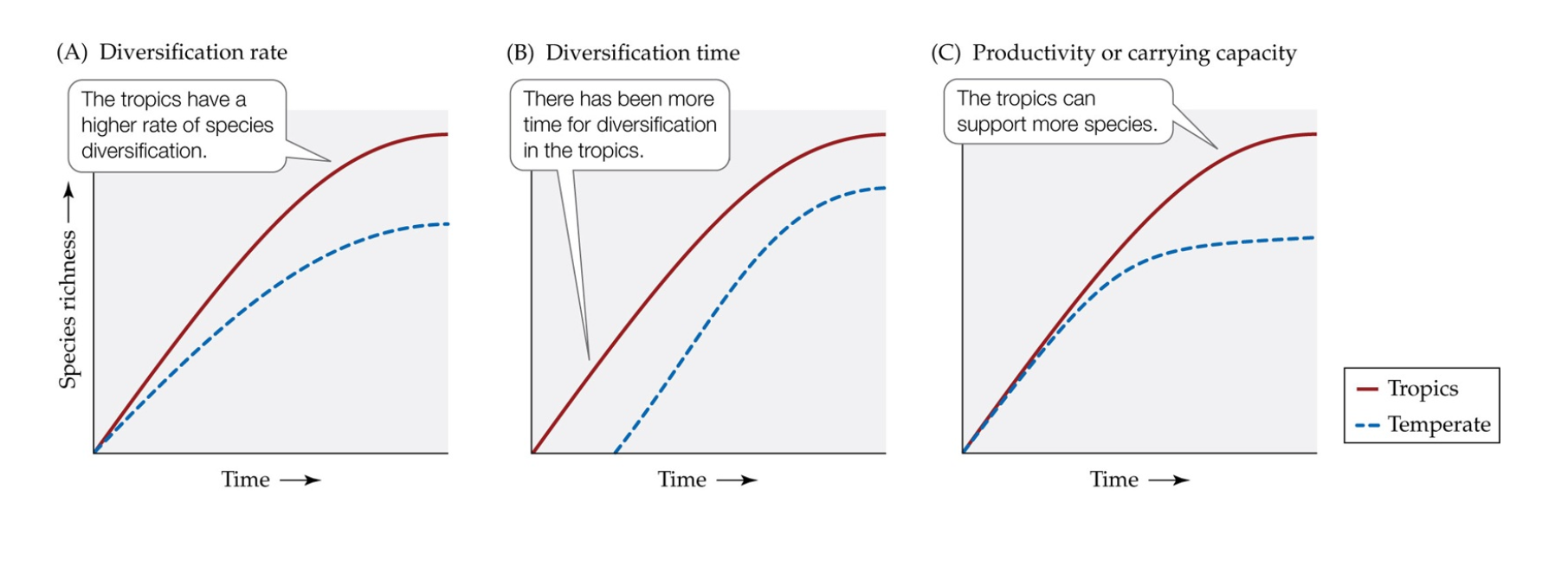 <p>Explain the Latitudinal Gradient in Species Richness </p>