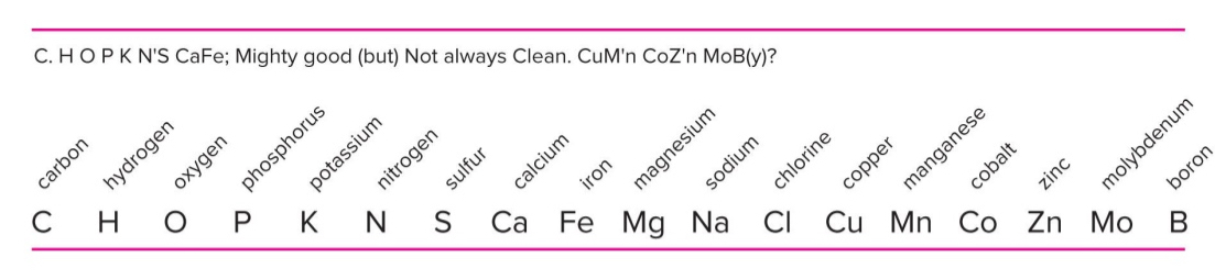 <p>Essential elements</p>