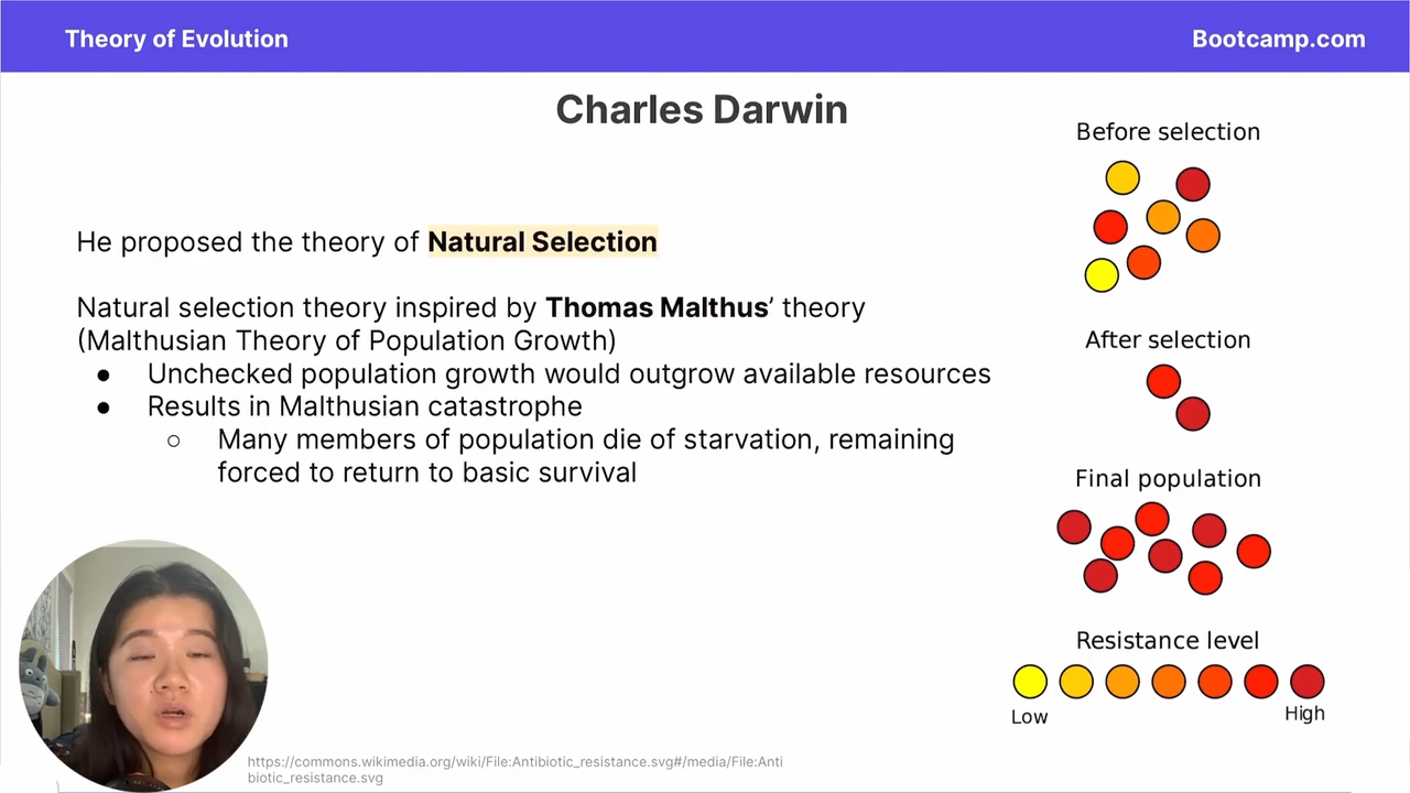 <p>the theory of natural selection </p>