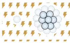 <p>Why multicellularity? (1/10)</p><p>(2)</p>