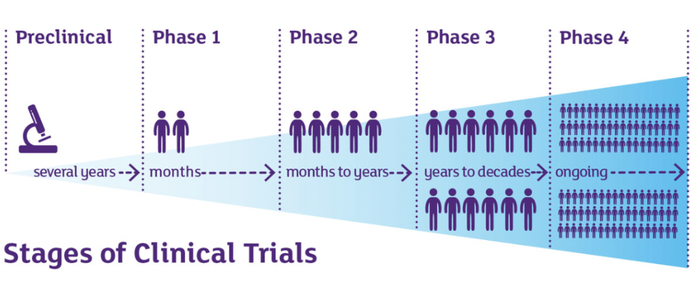 stages of clinical trials- image