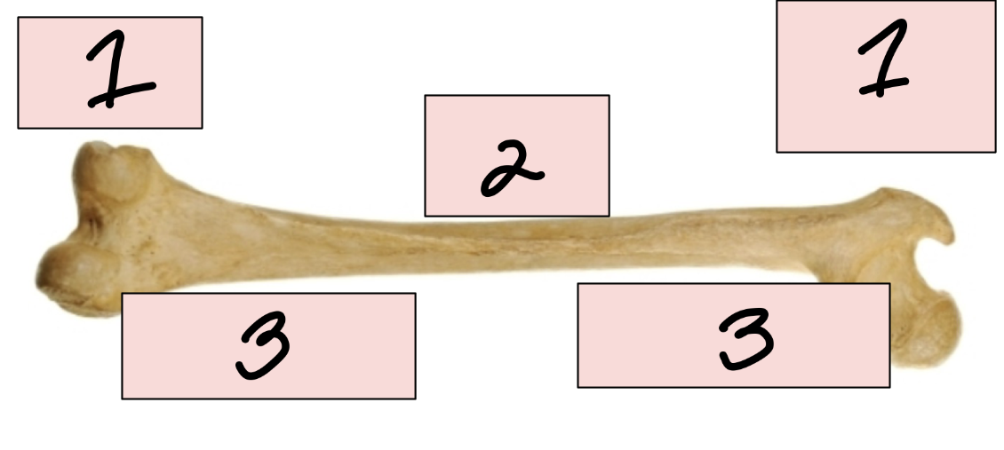 <p>2</p>