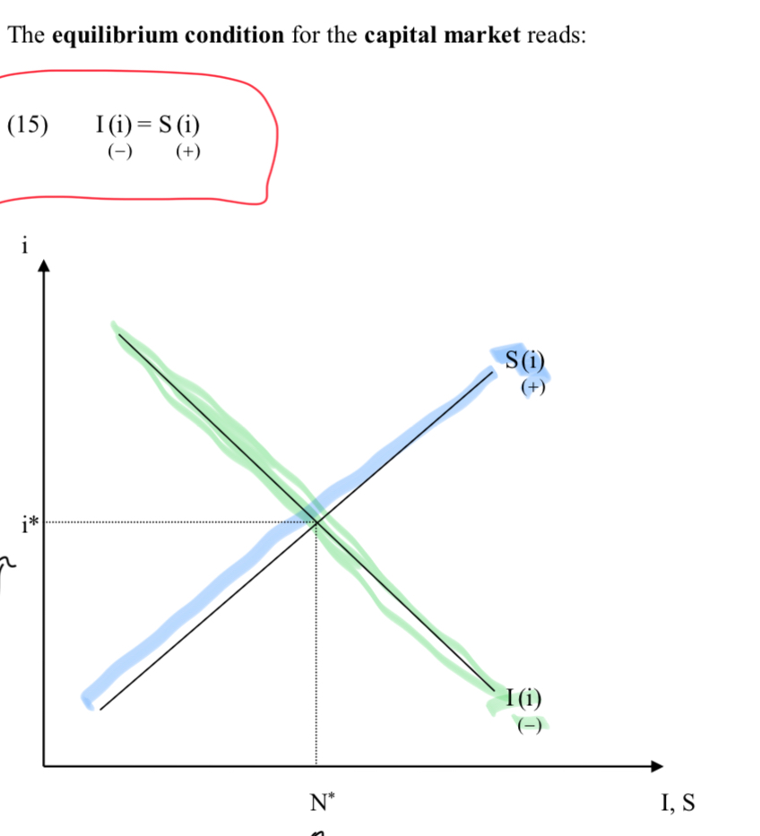 <p>graph of capital market equilibrium </p>