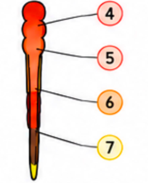 <p>6</p>