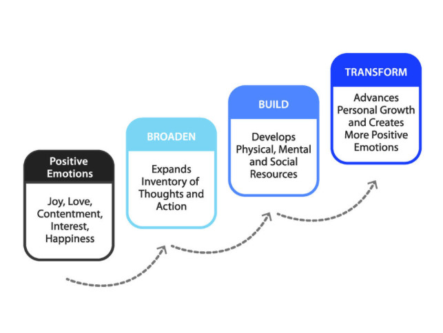 <p>broaden-and-build theory</p>