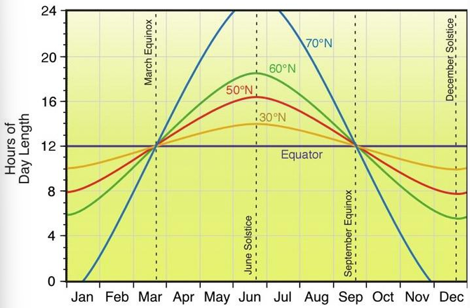 <p>temp &amp; day length → ↑ consistent near equator </p><ul><li><p>less environmental stress to deal with </p></li></ul><p></p>