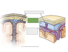 <p>This is the</p>