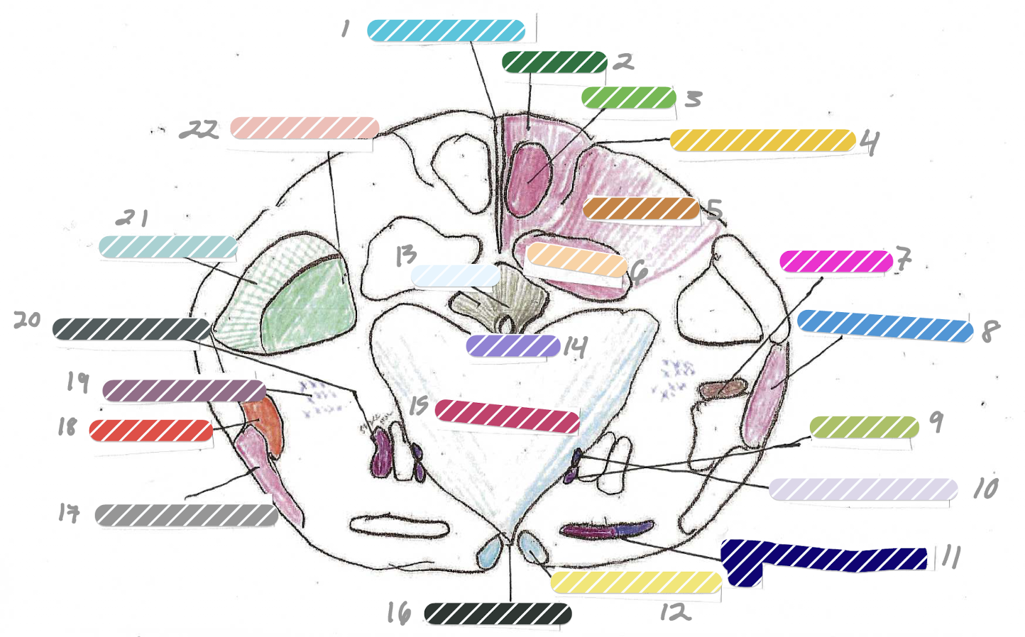 <p>13</p>