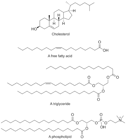 <p>C,H,O</p>