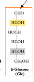 <p>D-Glucose, Aldohexoses</p>