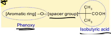 <p><span style="background-color: transparent;"><strong><u>Fibrates</u></strong></span></p><ul><li><p><span style="background-color: transparent;"><strong>SAR</strong></span></p><ul><li><p><span style="background-color: transparent;"><strong>Compounds containing an <u>_____</u> = <u>_____</u></strong></span></p></li><li><p><span style="background-color: transparent;"><strong><u>_____</u> substitution produces compounds with <u>_____</u> half-lives</strong></span></p></li></ul></li><li><p><span style="background-color: transparent;"><strong>Contains a <u>_____</u>–<u>_____</u>–<u>_____</u></strong></span></p></li></ul><p></p>