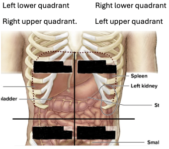 <p>2 (top right)</p>