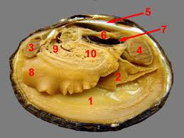 <p>What part is 3?</p>