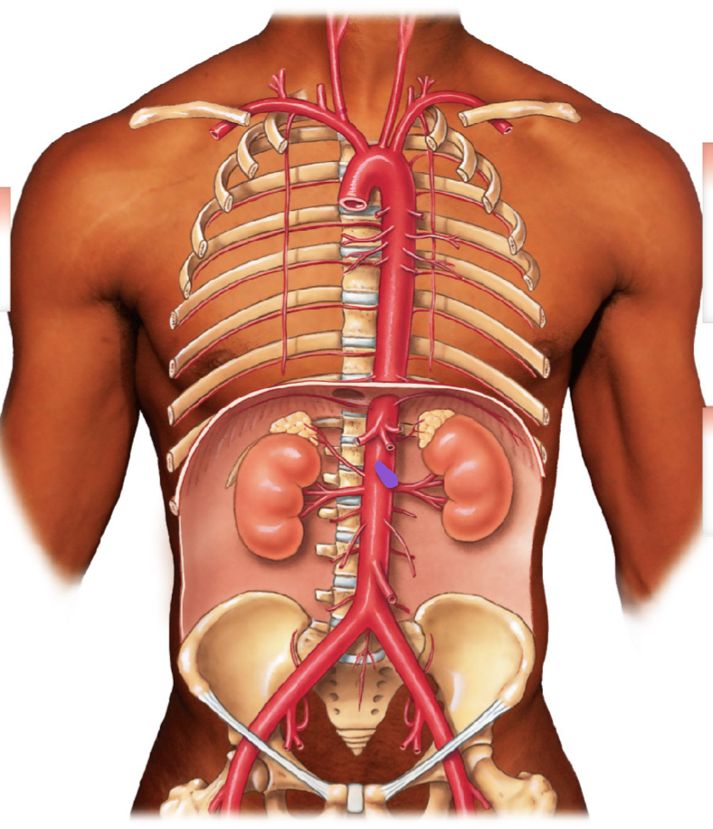<p>diagram </p>